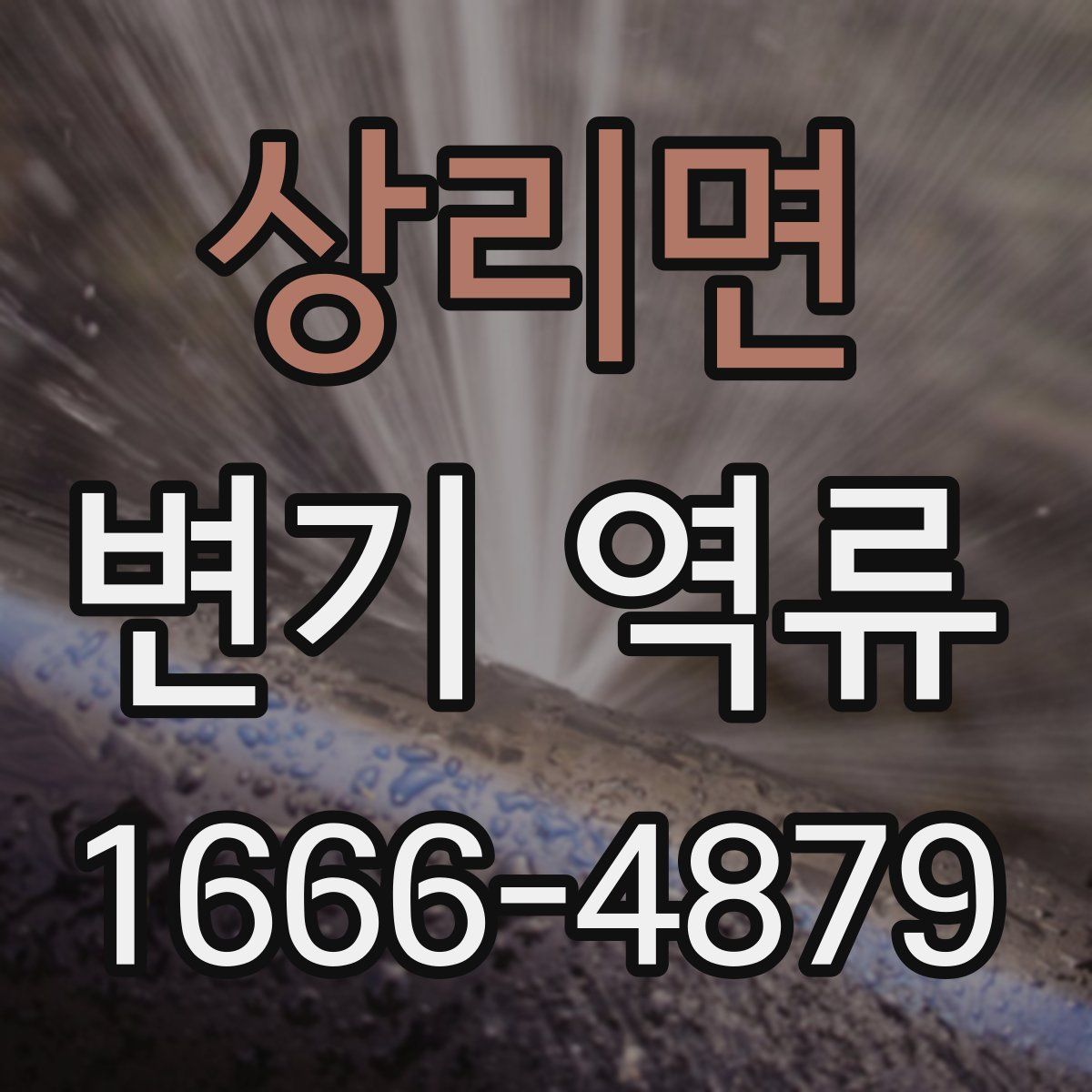 상리면 변기 역류