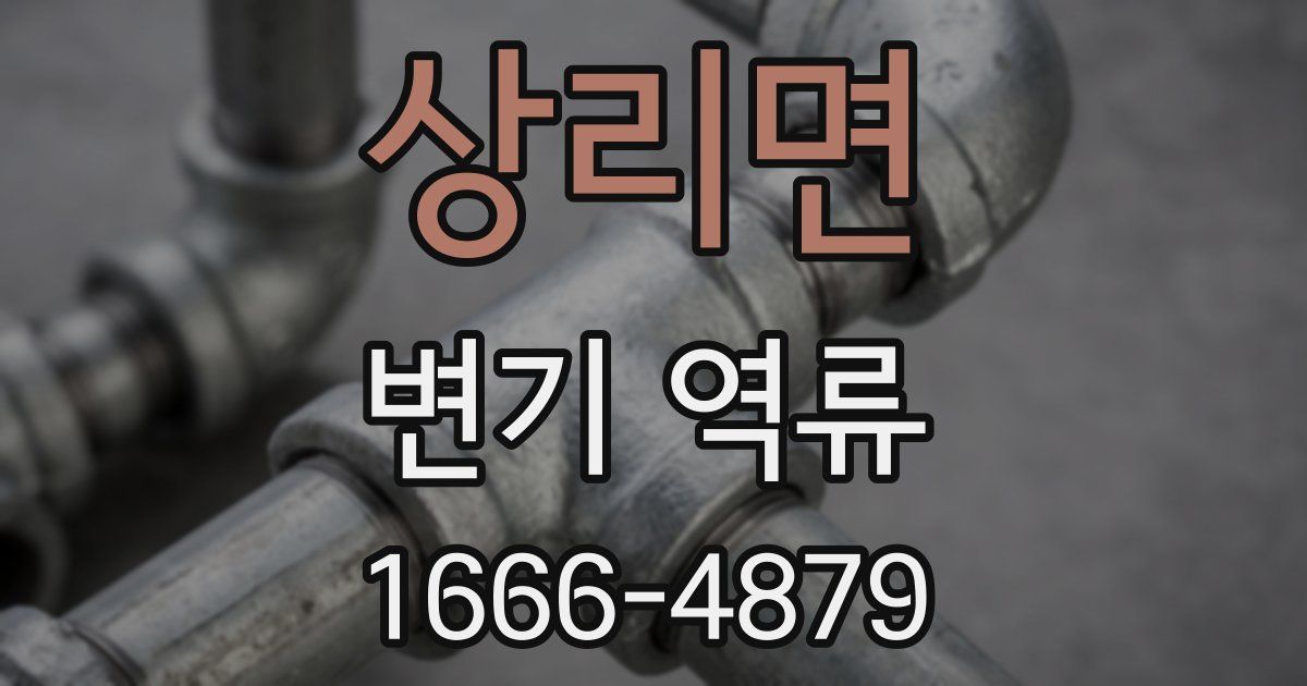 상리면 변기 역류