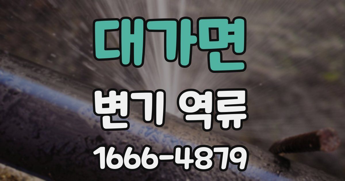 대가면 변기 역류