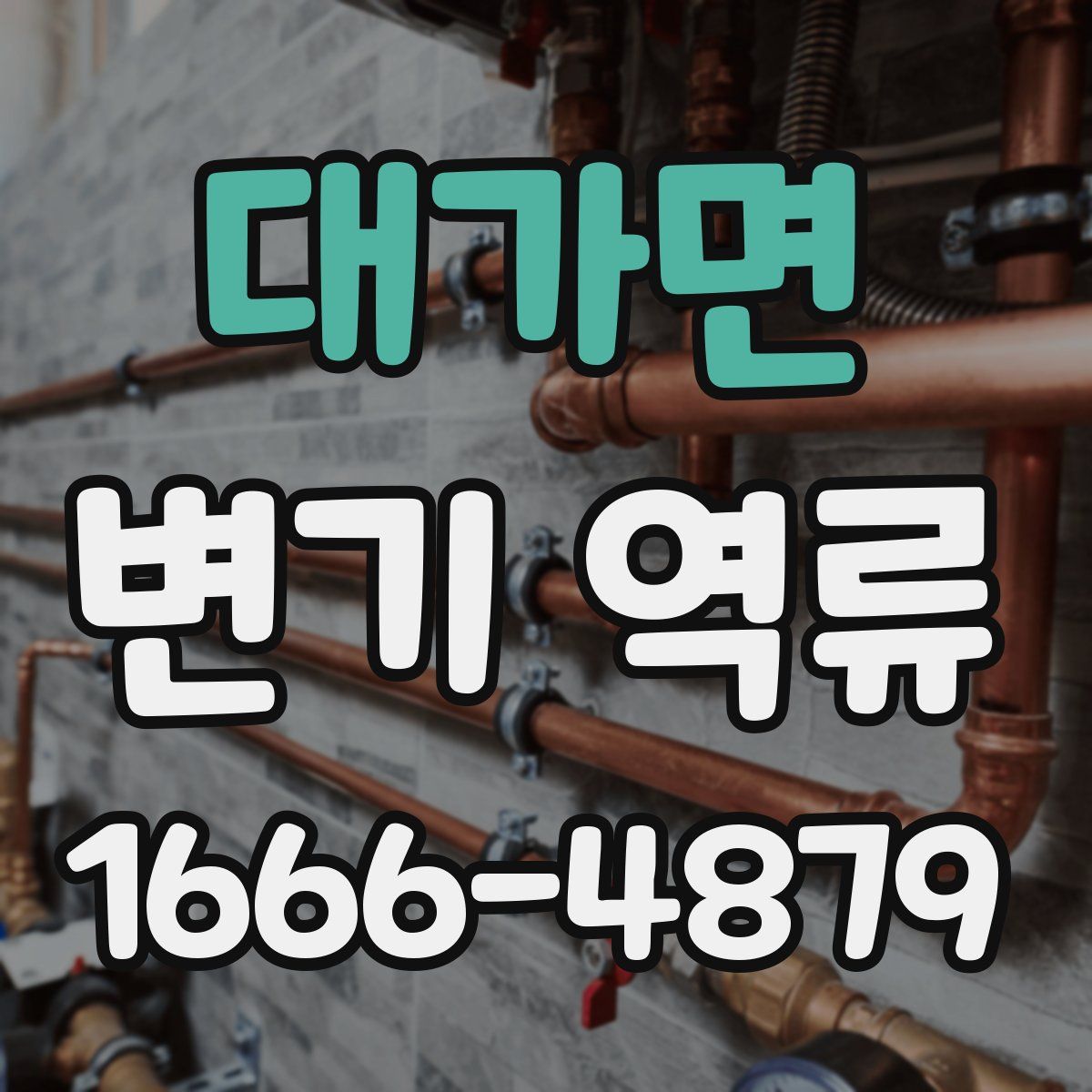 대가면 변기 역류