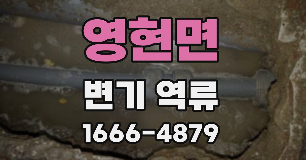 영현면 변기 역류