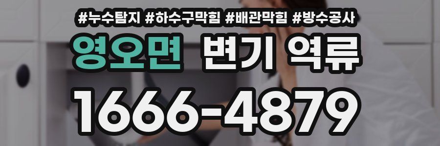 영오면 변기 역류