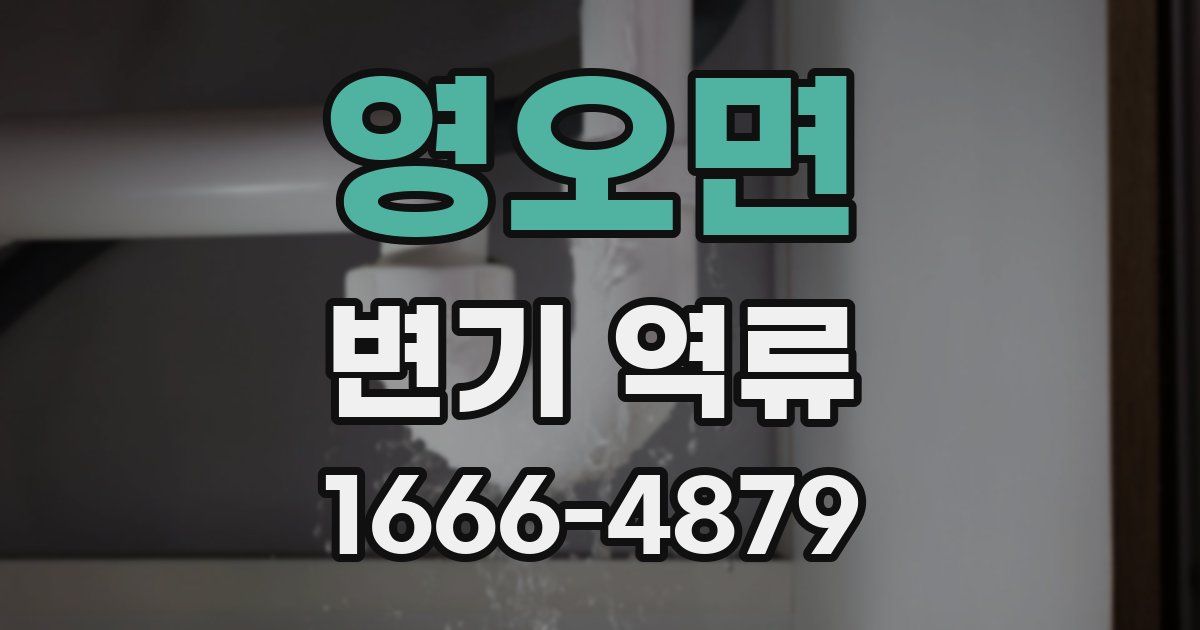 영오면 변기 역류
