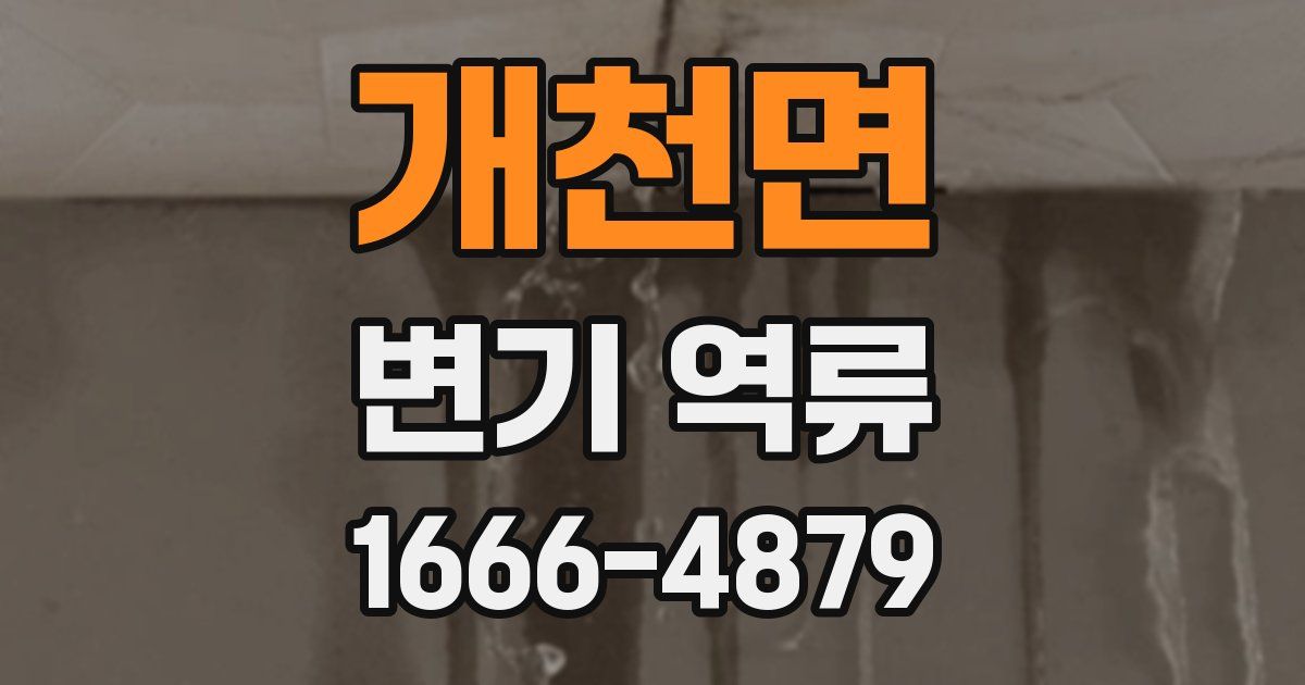개천면 변기 역류