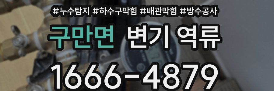 구만면 변기 역류