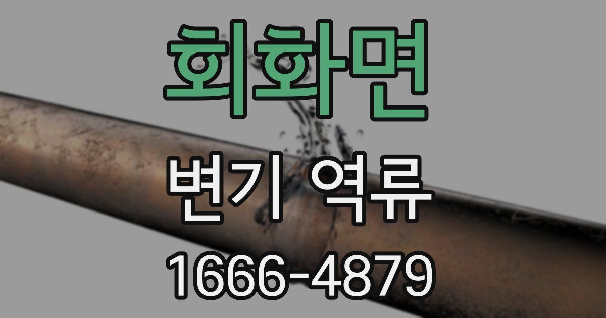회화면 변기 역류
