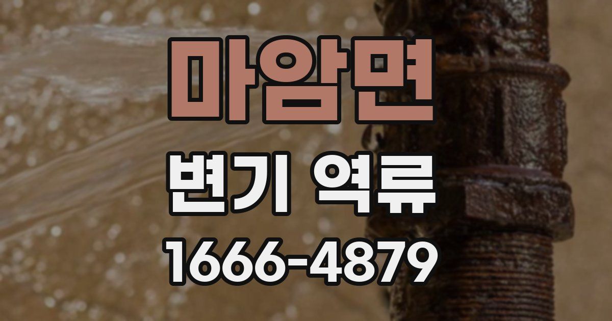 마암면 변기 역류