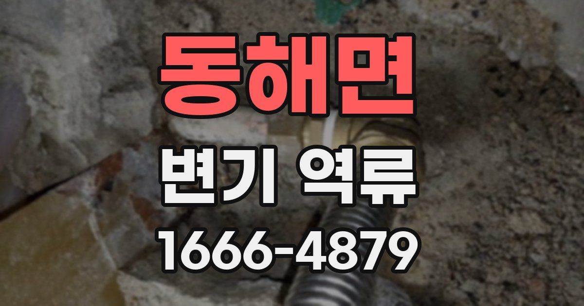 동해면 변기 역류