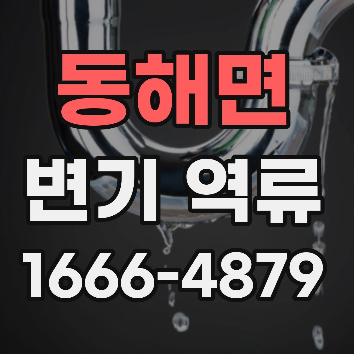 동해면 변기 역류