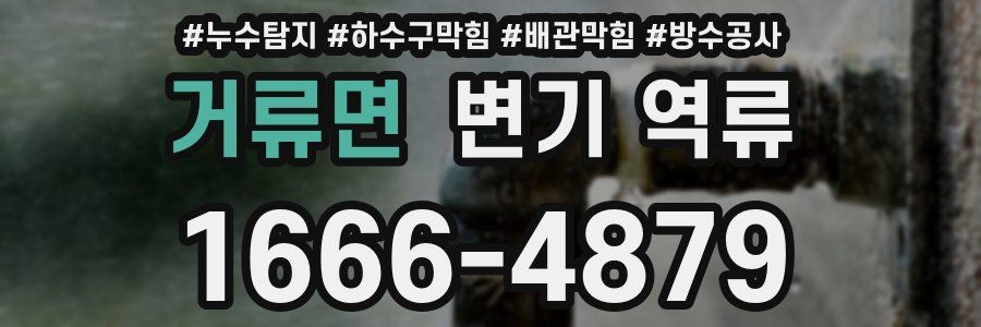 거류면 변기 역류
