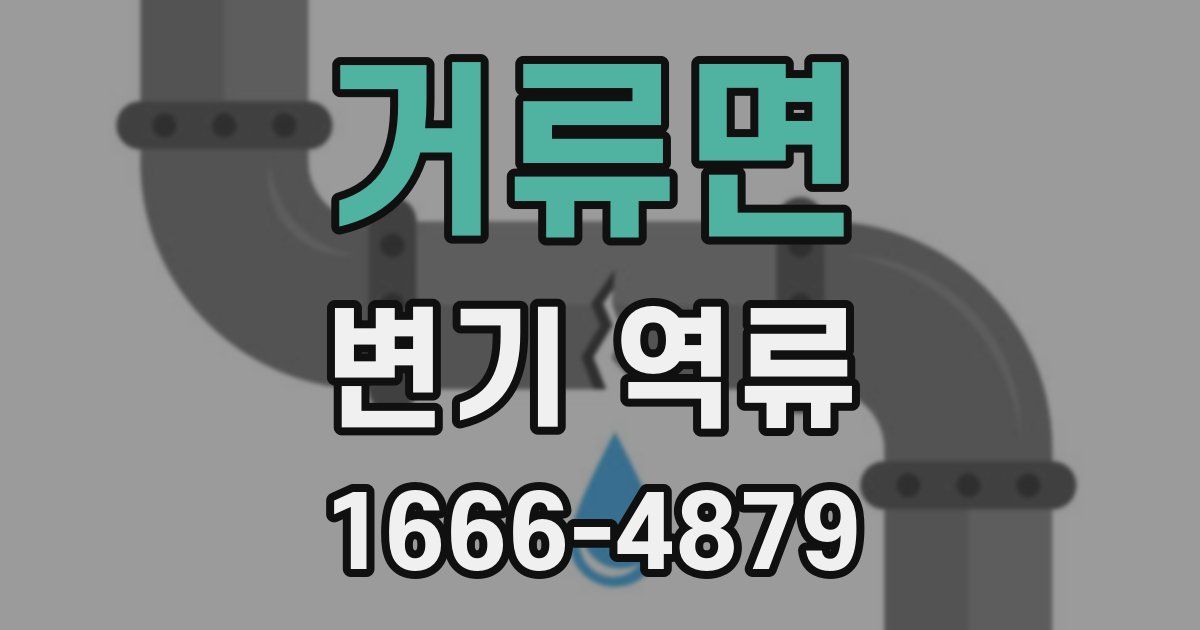 거류면 변기 역류
