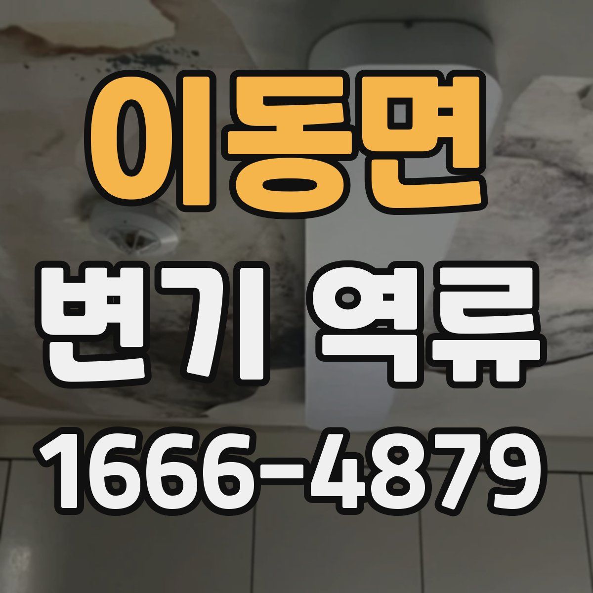이동면 변기 역류