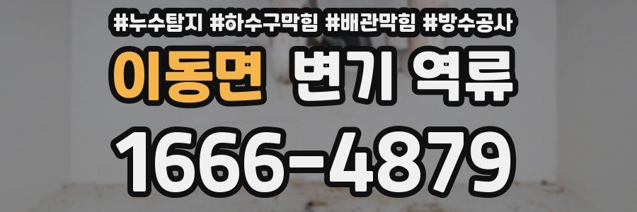 이동면 변기 역류