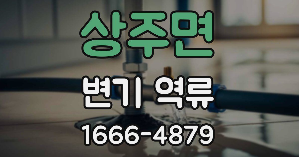 상주면 변기 역류