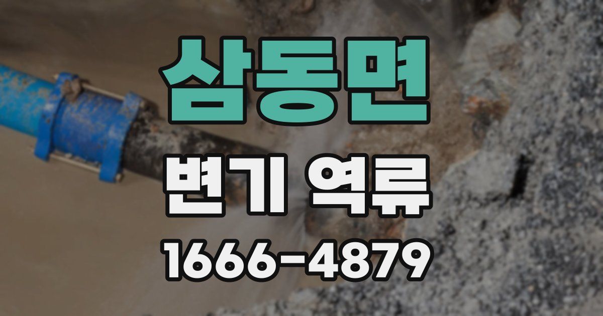 삼동면 변기 역류