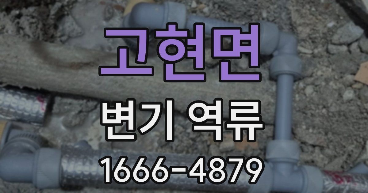 고현면 변기 역류
