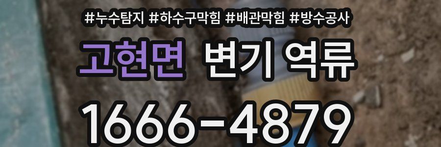 고현면 변기 역류