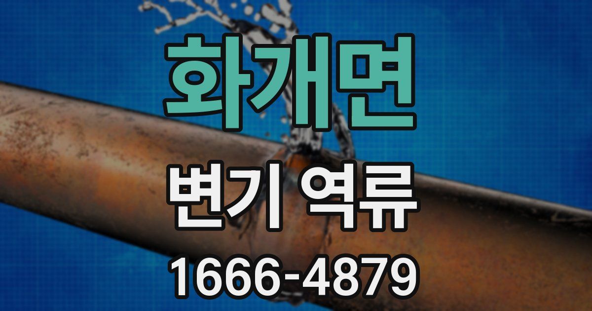 화개면 변기 역류