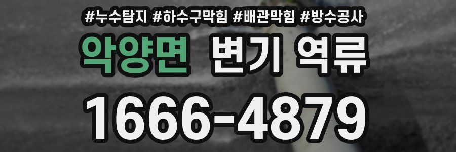 악양면 변기 역류
