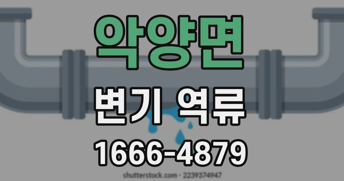 악양면 변기 역류
