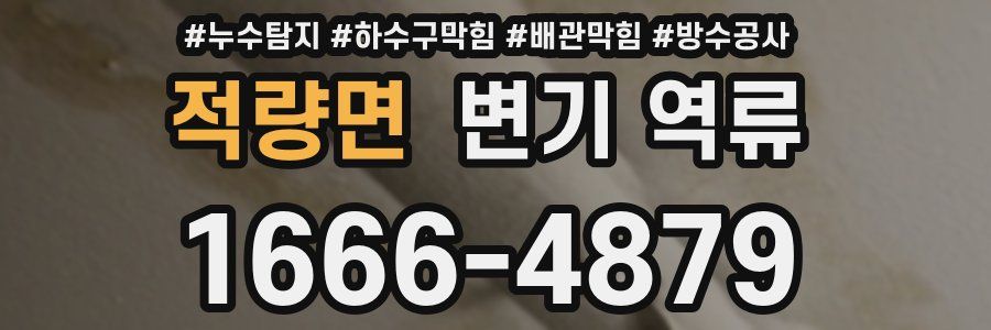 적량면 변기 역류