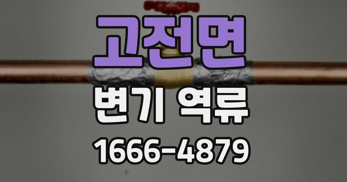 고전면 변기 역류