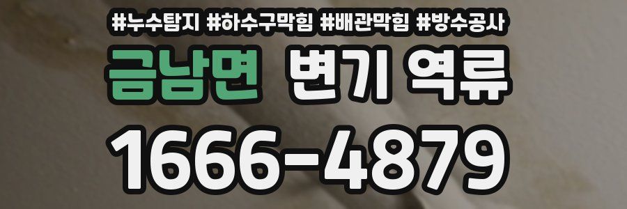 금남면 변기 역류