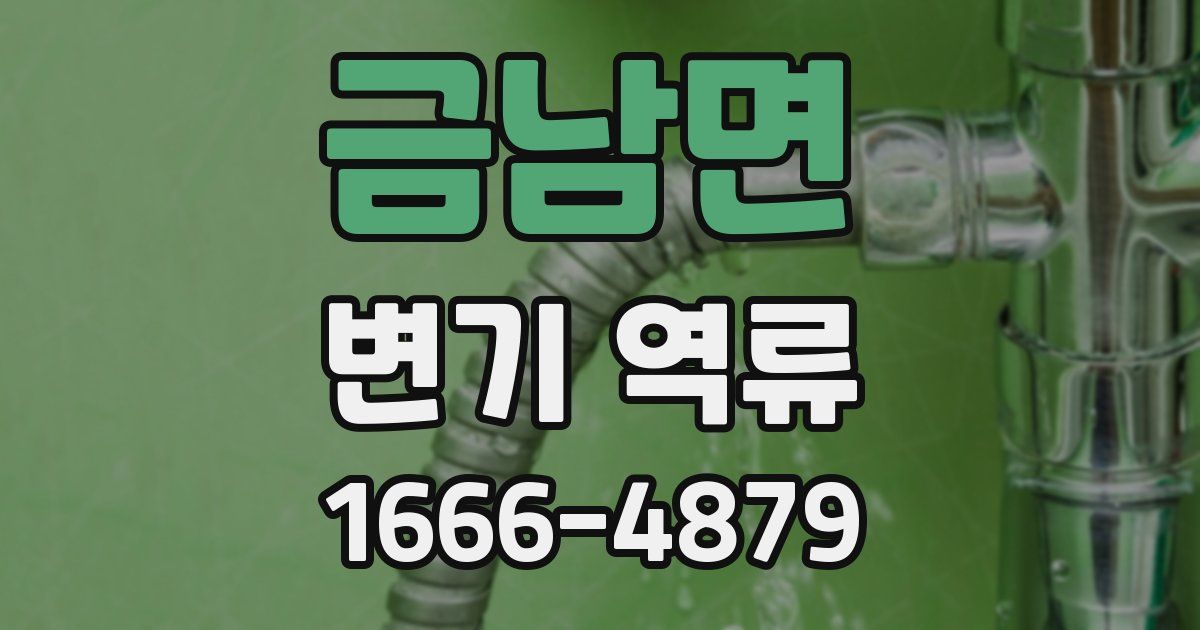 금남면 변기 역류