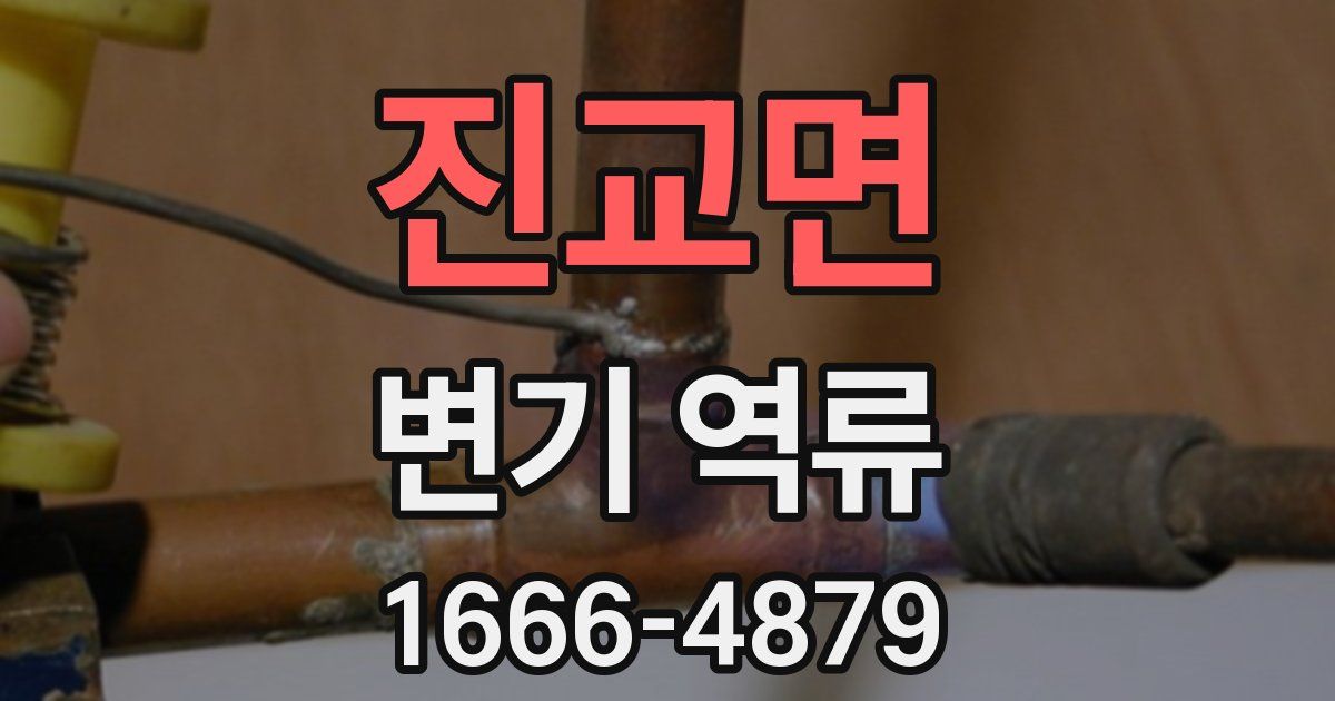 진교면 변기 역류