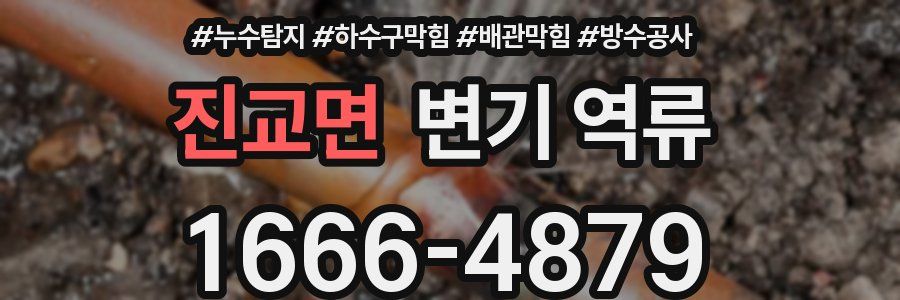 진교면 변기 역류