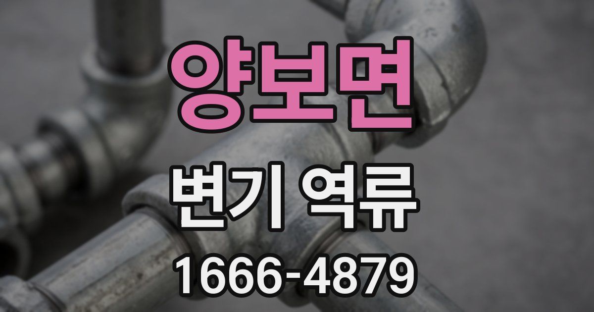 양보면 변기 역류