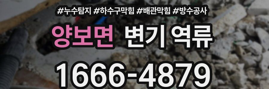 양보면 변기 역류