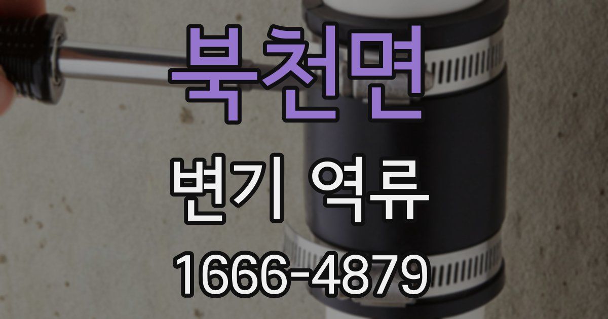 북천면 변기 역류