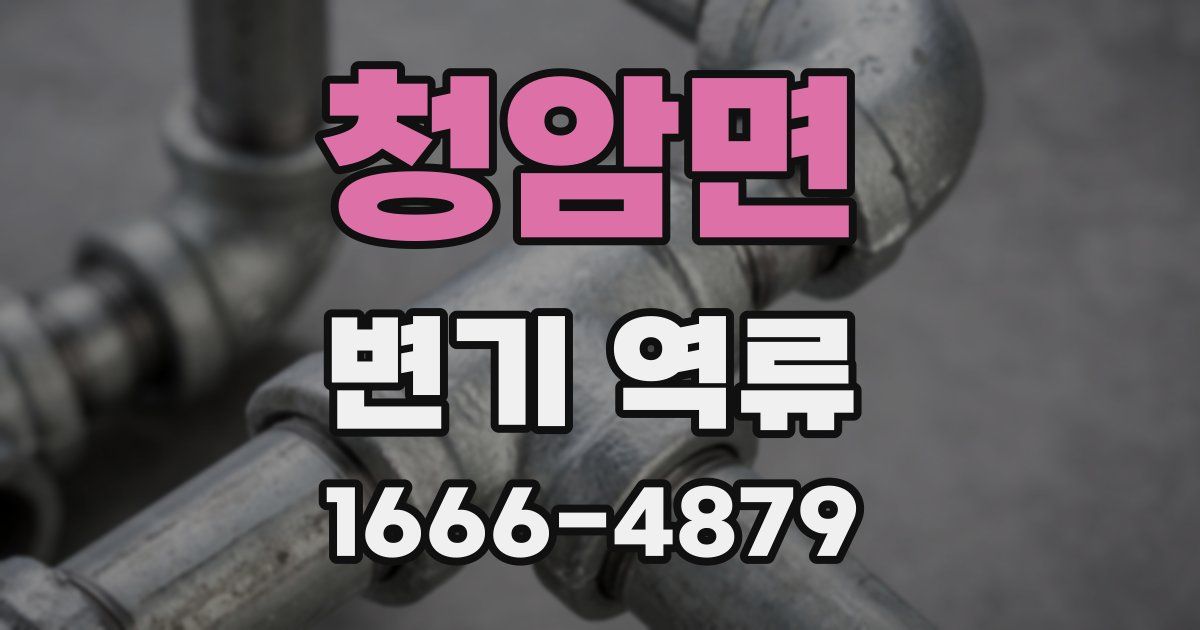 청암면 변기 역류