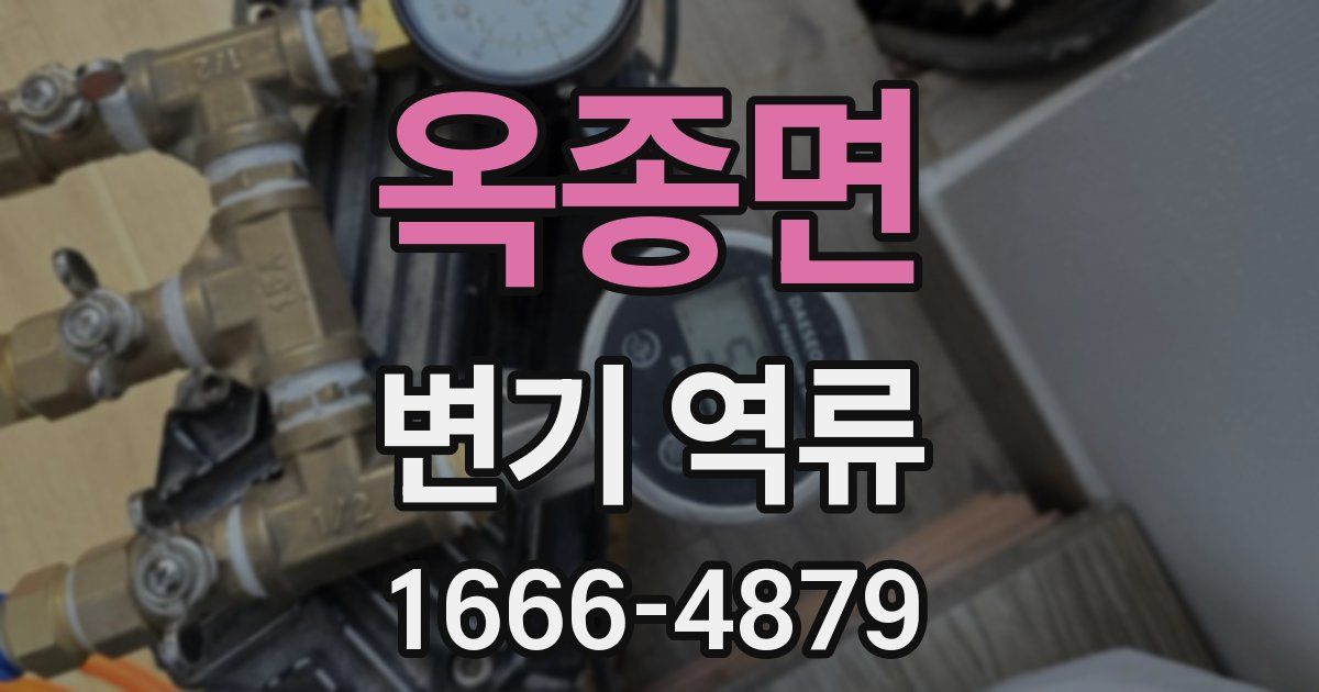 옥종면 변기 역류