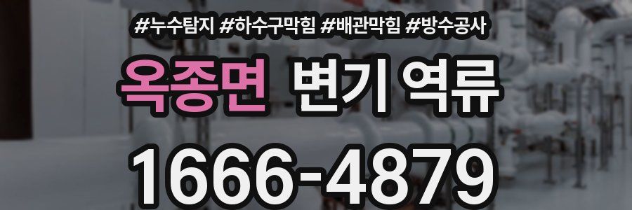 옥종면 변기 역류