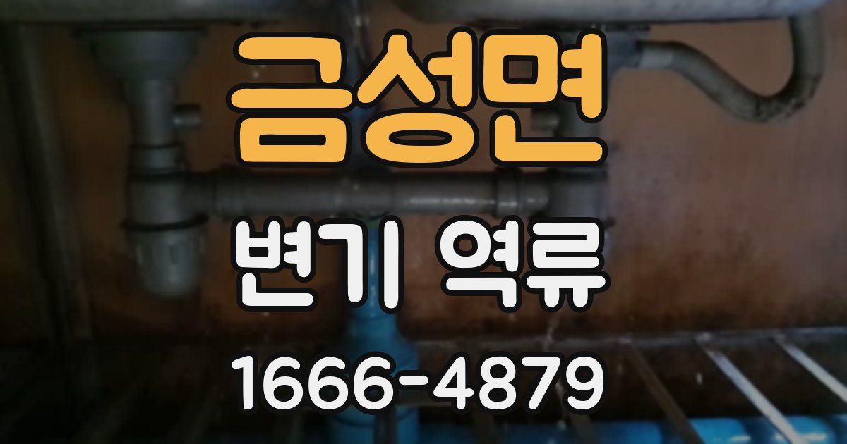 금성면 변기 역류