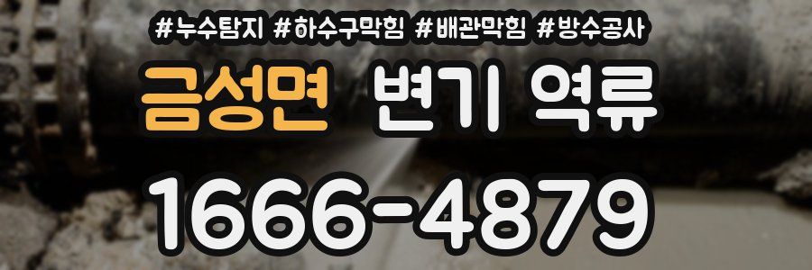 금성면 변기 역류