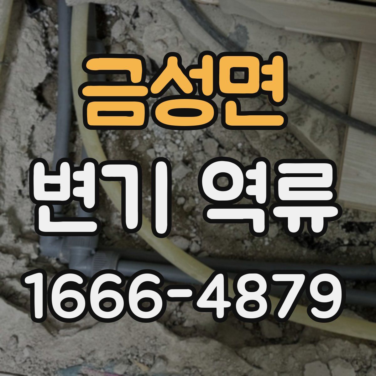 금성면 변기 역류