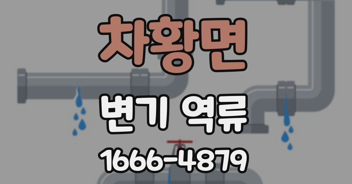 차황면 변기 역류
