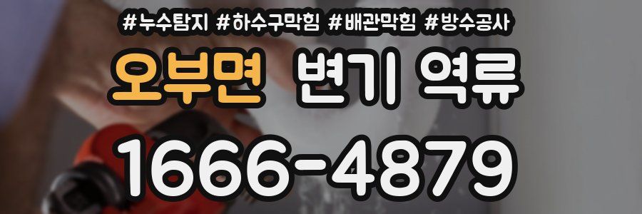 오부면 변기 역류