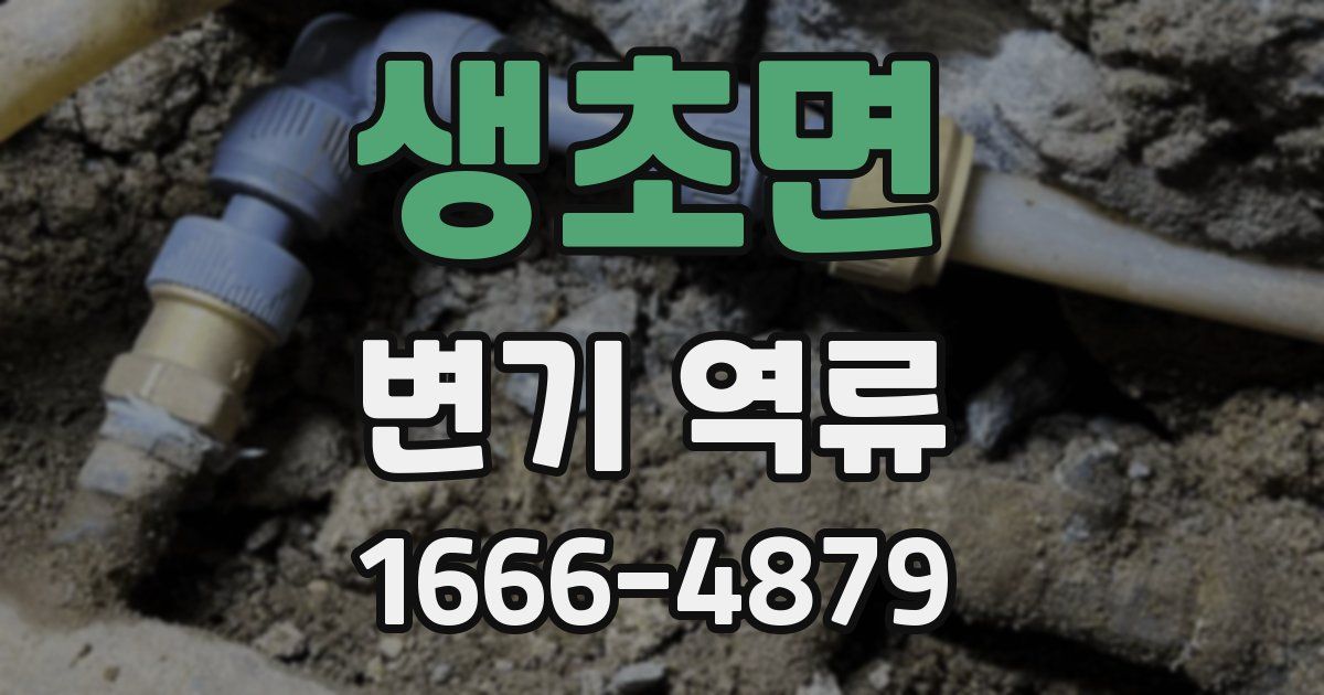 생초면 변기 역류
