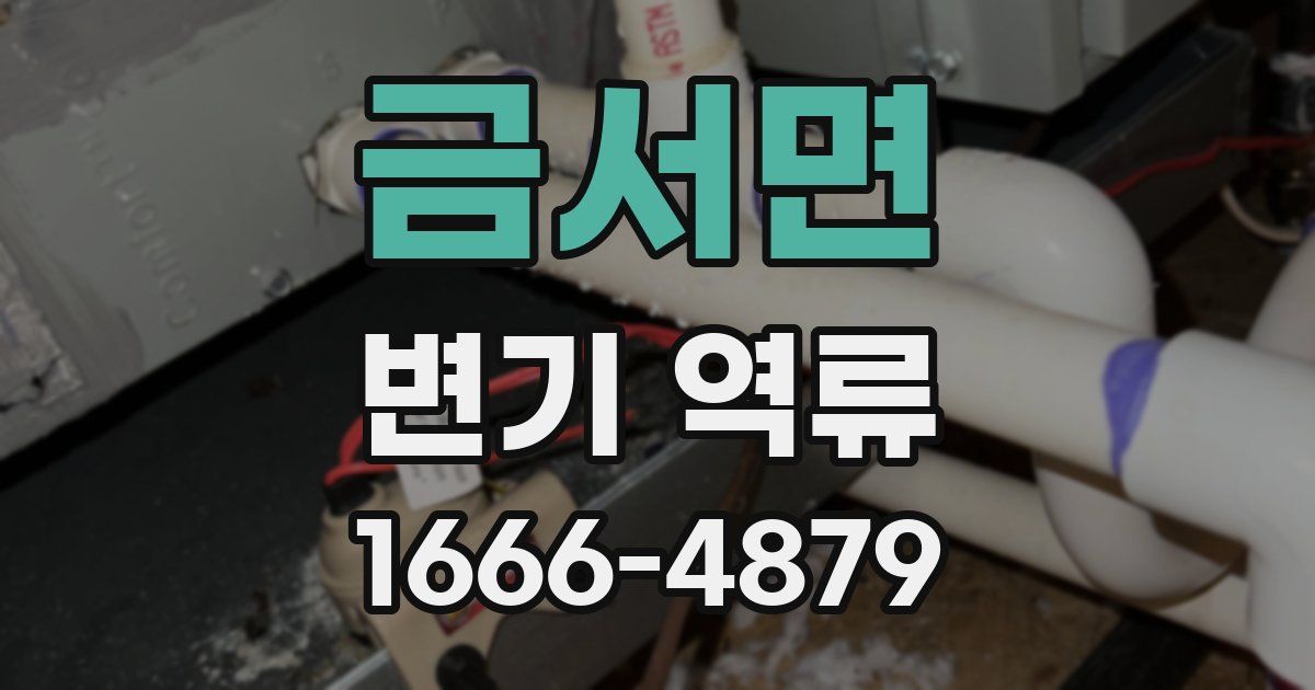 금서면 변기 역류