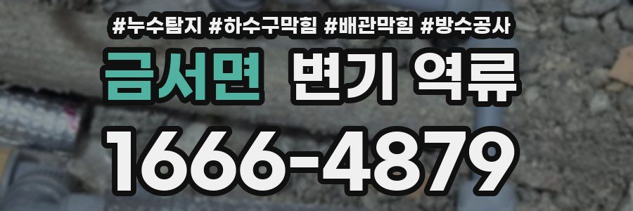 금서면 변기 역류