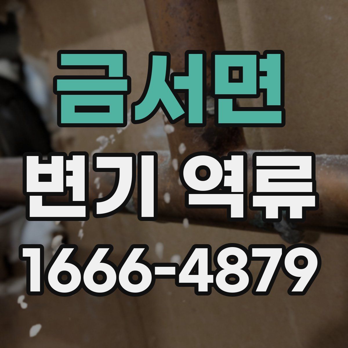 금서면 변기 역류