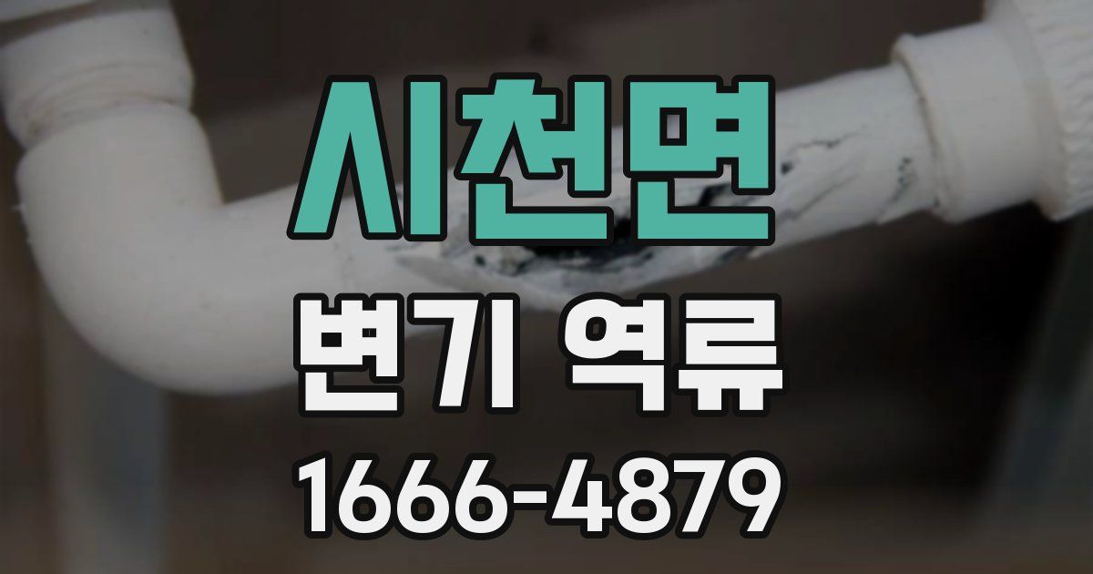 시천면 변기 역류