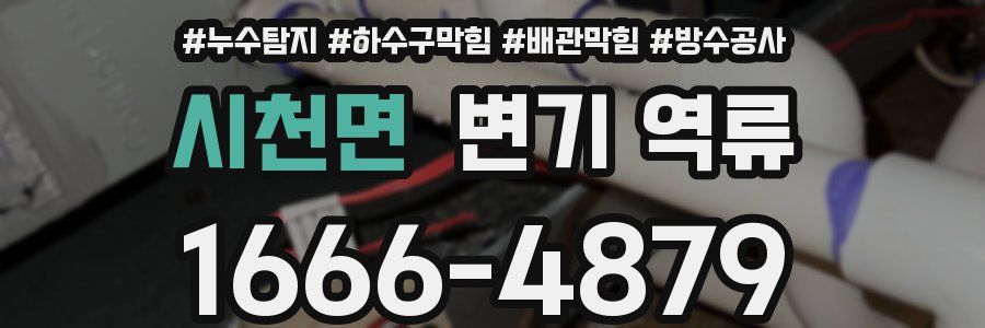 시천면 변기 역류
