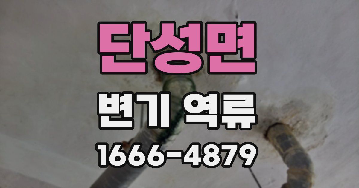단성면 변기 역류