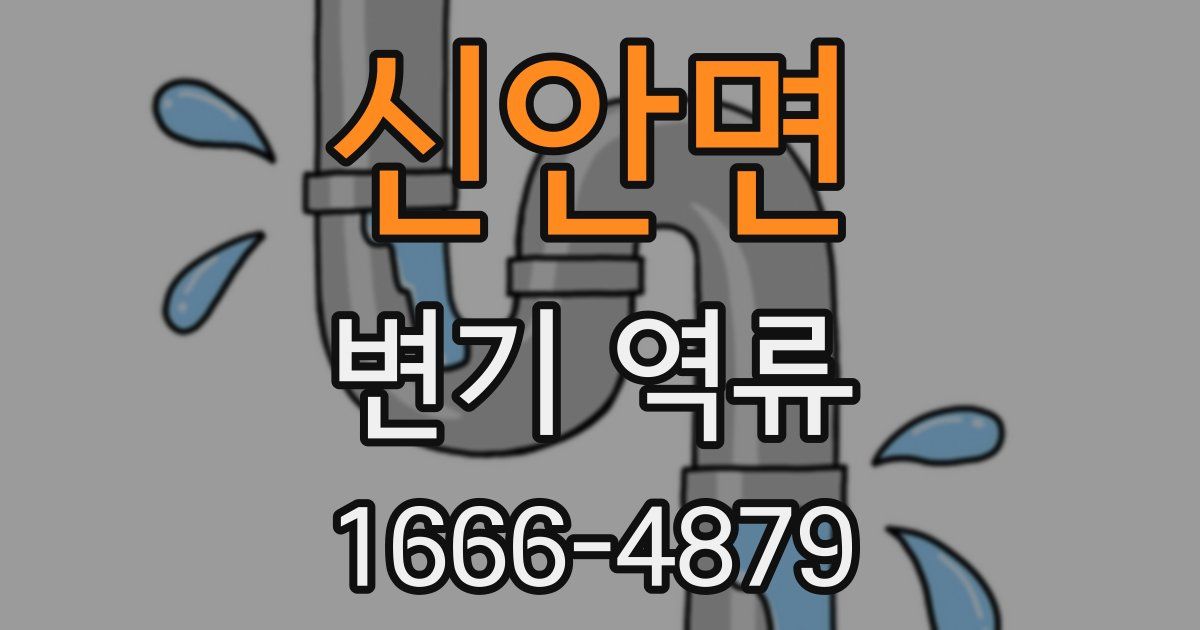 신안면 변기 역류