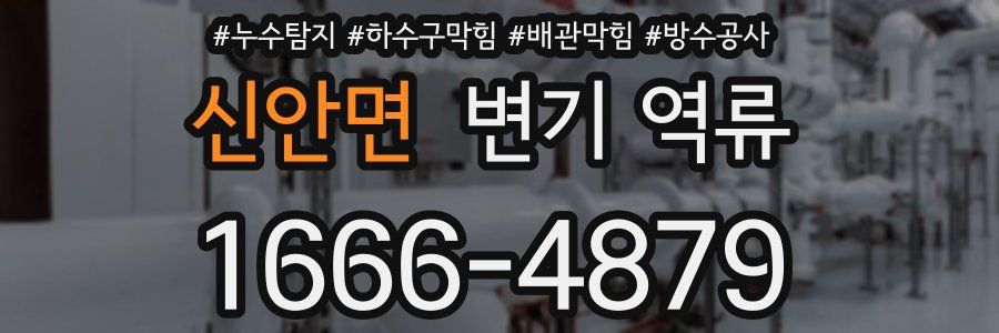 신안면 변기 역류